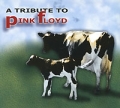 A Rock Tribute To Pink Floyd Формат: Audio CD (DigiPack) Дистрибьюторы: ZYX Music, Концерн "Группа Союз" Германия Лицензионные товары Характеристики аудионосителей 2010 г Сборник: Импортное издание инфо 2698b.